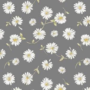 Meet your Posher, Isabella